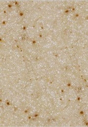 sg441 sanded gold dust | LAVARTEC