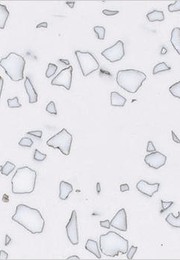 qd212 mosaic dalmatian | LAVARTEC